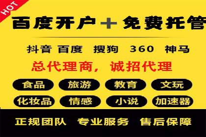 百度竞价广告的投放策略与成功案例分析